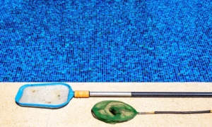 hochwertige Poolbürste für ihren Pool